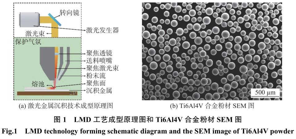 1716105974267409.jpg 360截圖165712237681124.jpg